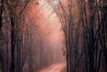 天涯神贴：十年经济冷暖，恍如昨天！守破立大法在线开讲！