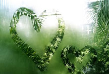 天涯神贴预言楼市：来自网络的神奇预判