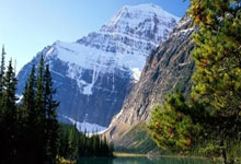 天涯神贴预测股市：那些论坛上的奇人奇贴和股市预言